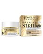 EVELINE ROYAL SNAILS