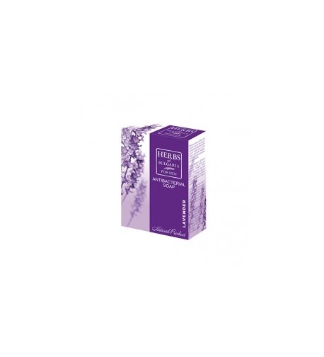 Lavender Soap